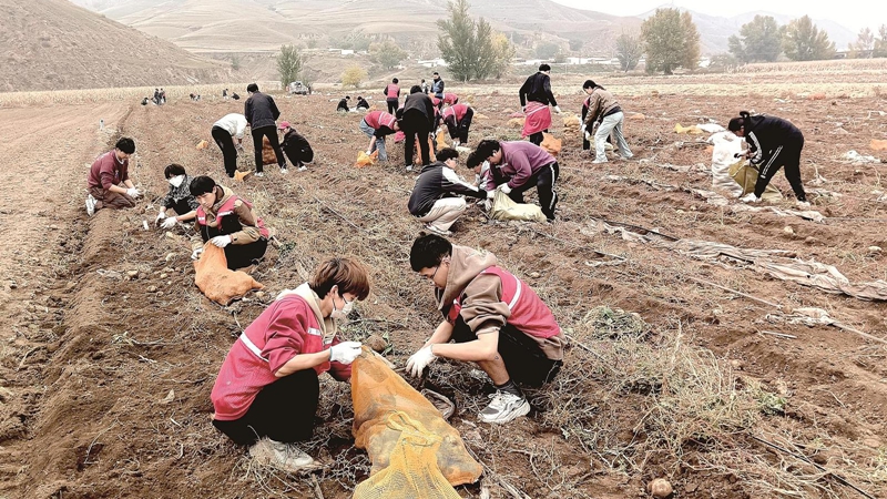 勞動實訓(xùn) 助力成長